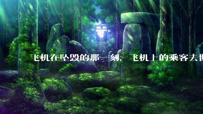 飞机在坠毁的那一刻，飞机上的乘客去世的过程 会不会很痛？